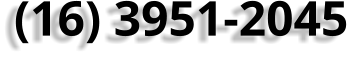 (16) 3951-2045